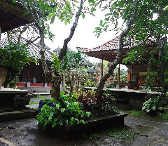 Warsa's
